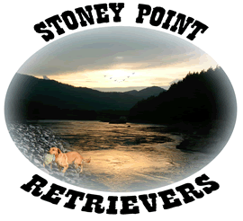 Stoney Point logo03
