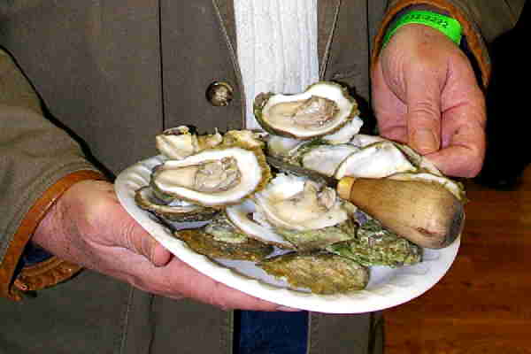 8380 oysters