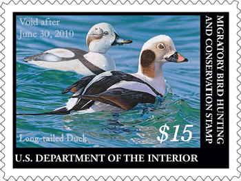 Ducks Stamp 2009
