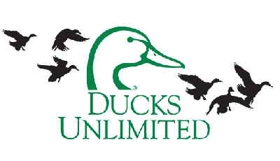 Logo Ducks Unlimited Image2004