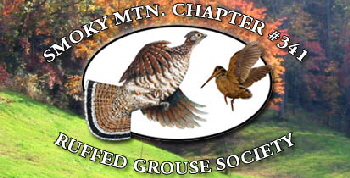 logo Ruffed Grouse Smokey Mountain
