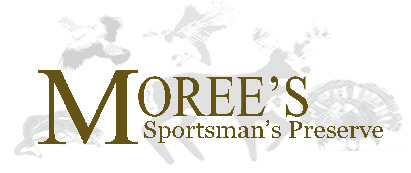 logo morees