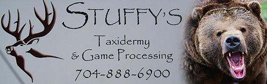 logo stuffys taxidermy